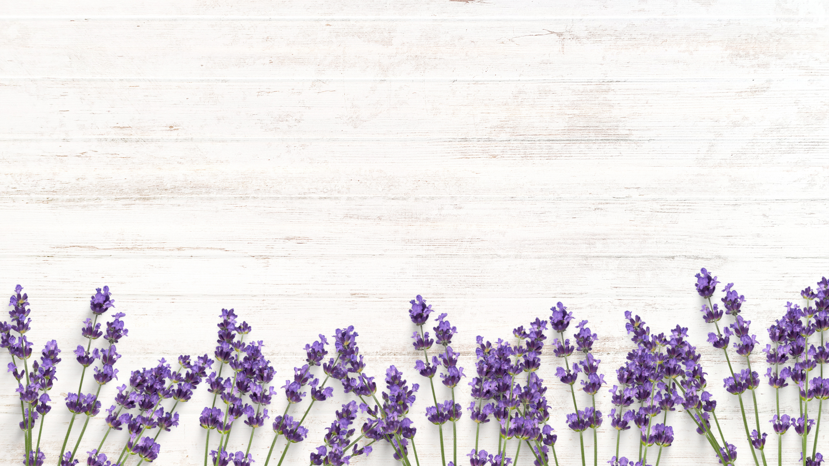 Break Up Care Package Collection Picture of lavender flowers