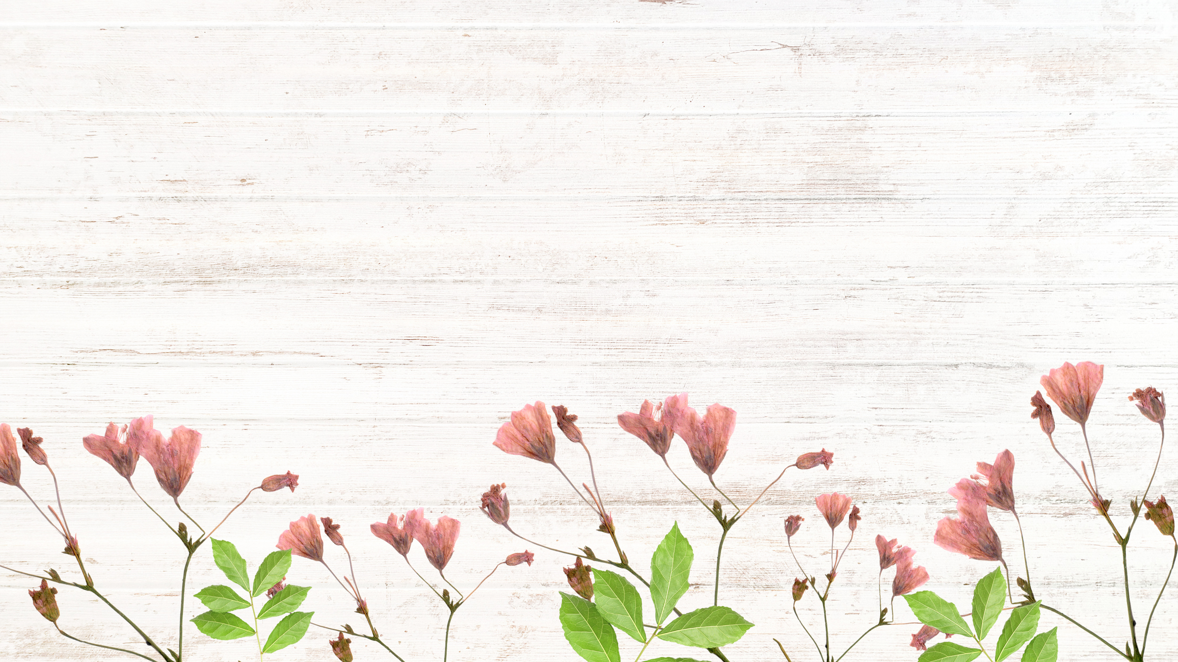 Miscarriage & Infant Loss