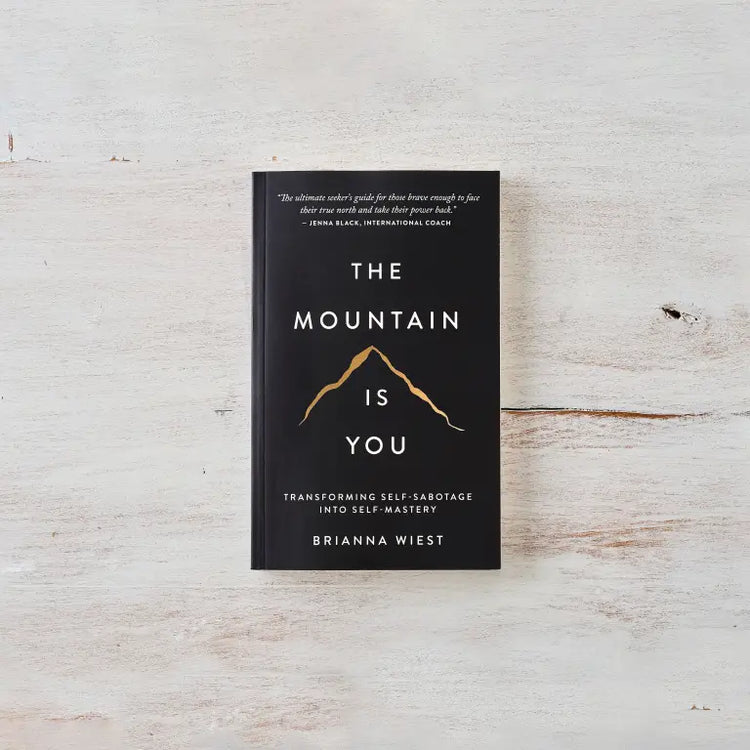 The Mountain is You Bok by Brianna Wiest