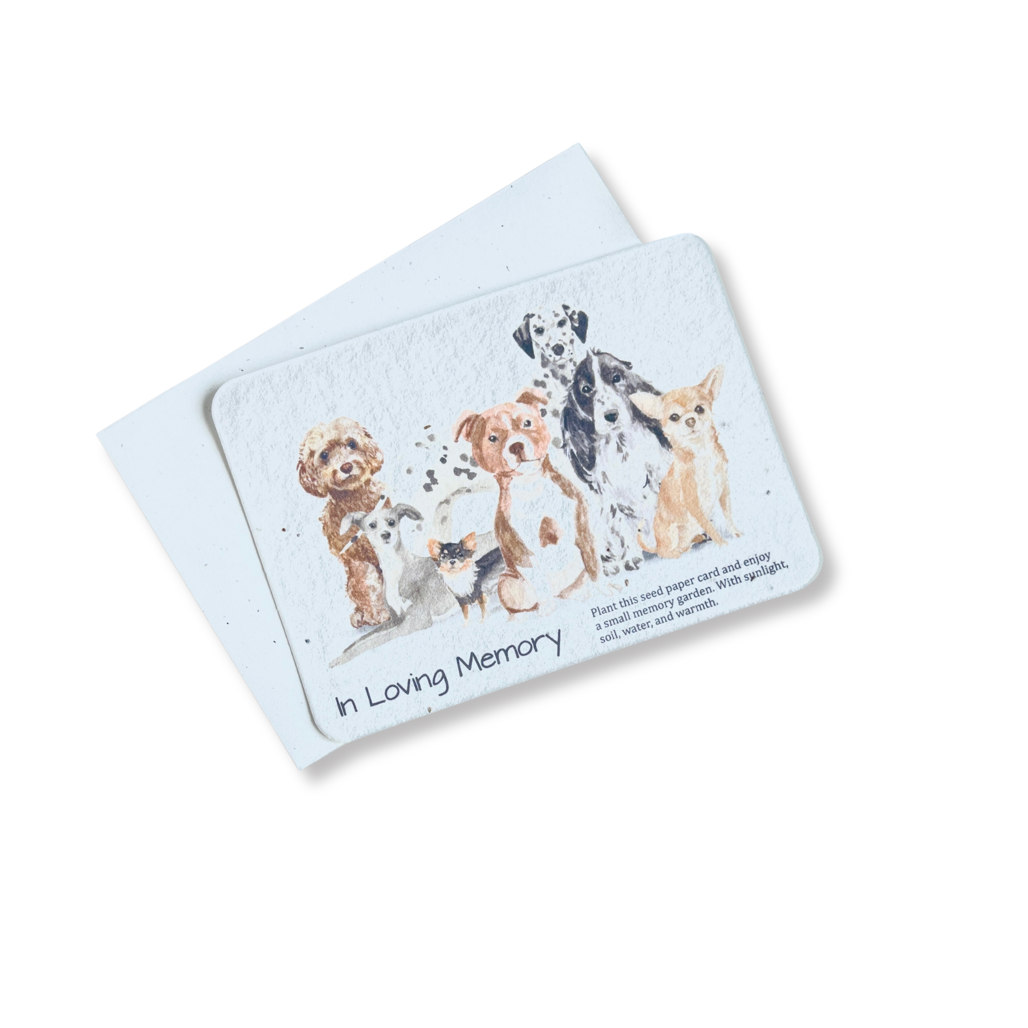 Dog Memorial Seed Card with envelope 